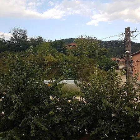 Family Alexov's House *